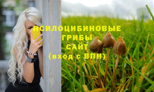 мефедрон Приозерск