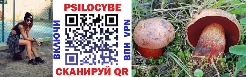 Купить где  Камызяк  Псилоцибиновые грибы Cubensis 
